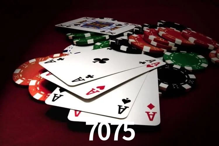 Casino Ao Vivo 7075